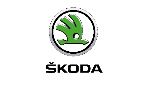škoda washing.cz